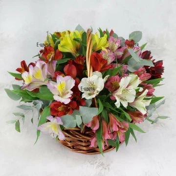 Send basket with fresh alstroemerias to Bulgaria