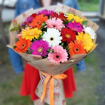 A bouquet of colourful gerberas. Wonderful, classic bouquet of gerberas, tied with a ribbon.