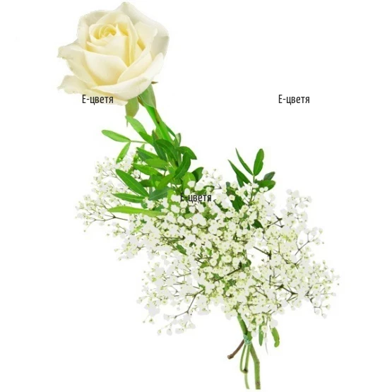 Send one white rose by courier