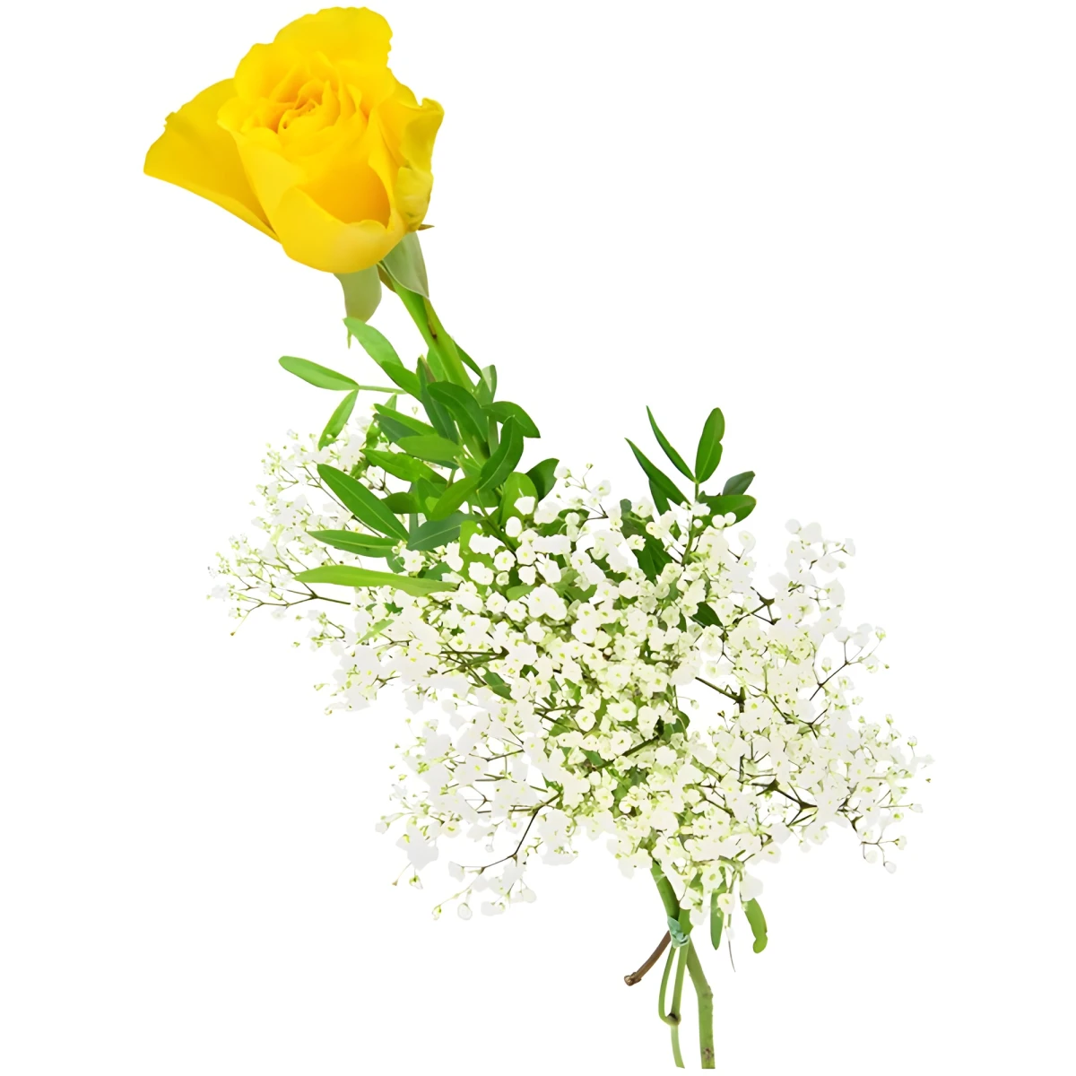 Send one yellow rose by courier