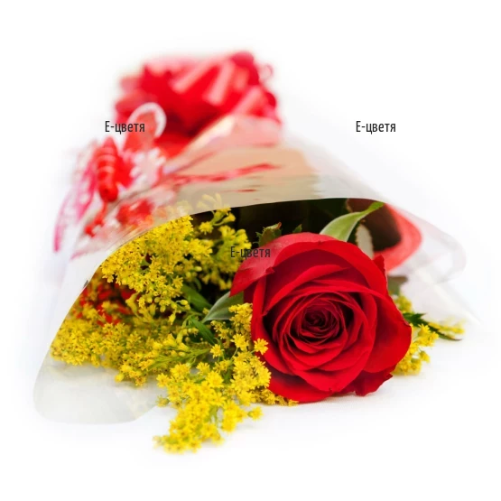 Send one romantic red rose by courier