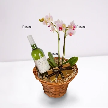 Order nice and original gift for friends and relatives - a basket with gifts and pot plant - Phalaenopsis orchid. Perfect gift for a Birthday.