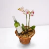 An online order for orchid and gifts