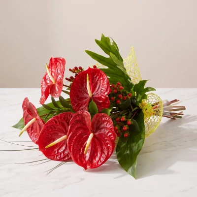 Bouquet of 5 Red Anthuriums for an Anniversary