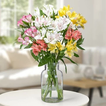 Beautiful, vibrant bouquet of exotic alstroemerias, giving you the sense of warmth and joy. It will brighten the recipient's home or office for days on end.