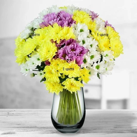 Send a bouquet of chrysanthemums to Sofia.
