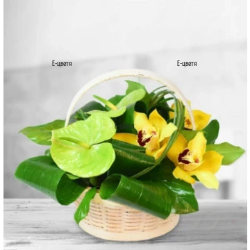 Send original basket with exotic flowers.