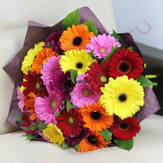Order and delivery to Bulgaria a bouquet of gerberas