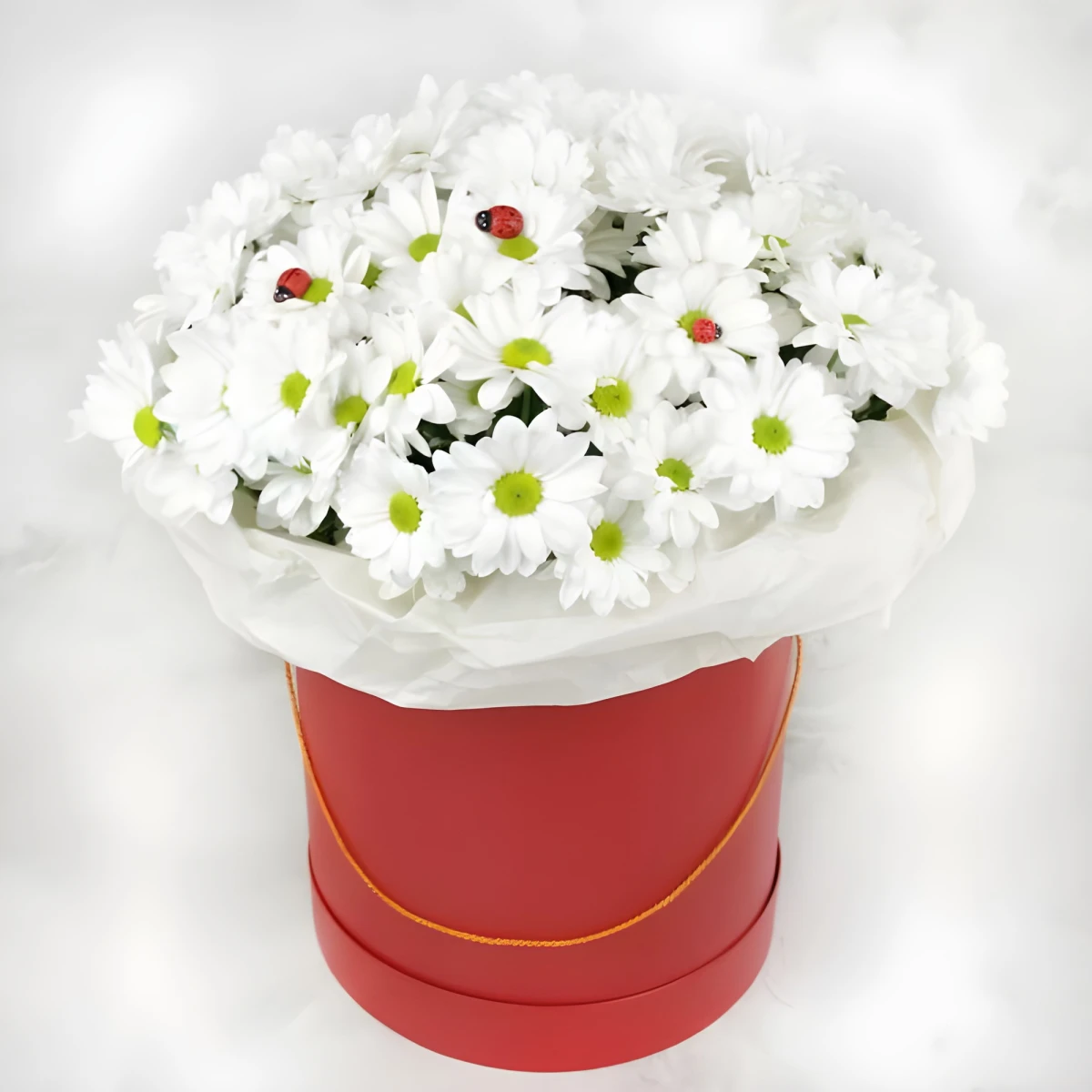 white floral box with fresh chrysanthemum