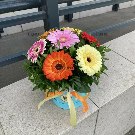 Delivery of gerberas in a beautiful box with courier