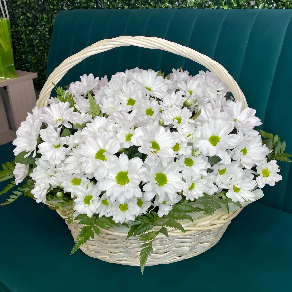 Basket with white chrysanthemums and greens