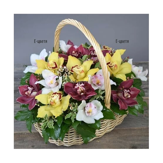 Send orchids in a basket to Bulgaria
