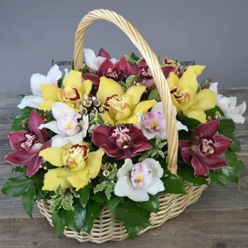 Send orchids in a basket to Bulgaria