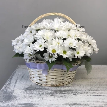 Delivery of a basket of white chrysanthemums