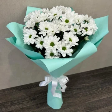 Flower delivery Bulgaria bouquet of 5 white chrysanthemums