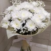Flower delivery Bulgaria bouquet of 5 white chrysanthemums