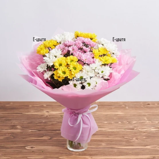 Delivery of a bouquet of 11 chrysanthemums to an address in Sofia