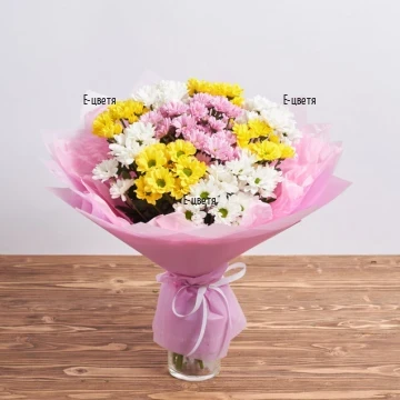 Delivery of a bouquet of 11 chrysanthemums to an address in Sofia