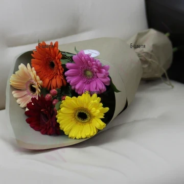 Flower delivery to Bulgaria a bouquet of 5 gerberas