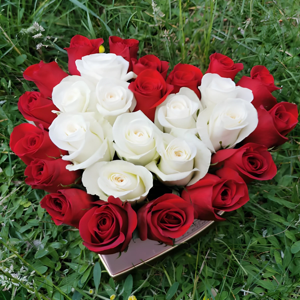 Send to Bulgaria heart of white and red roses