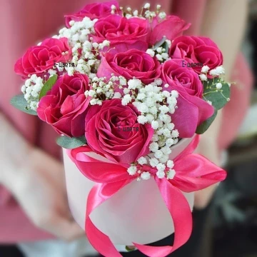Send to Bulgaria 9 pink roses in a round box