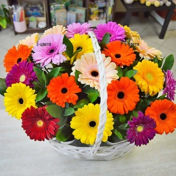 Send to Bulgaria a basket of 25 colorful gerberas