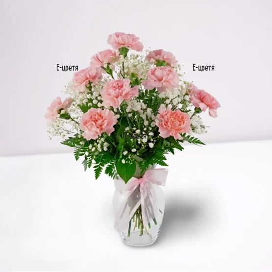 Bouquet of 11 Pink Carnations with Gypsophila | E-cvetia