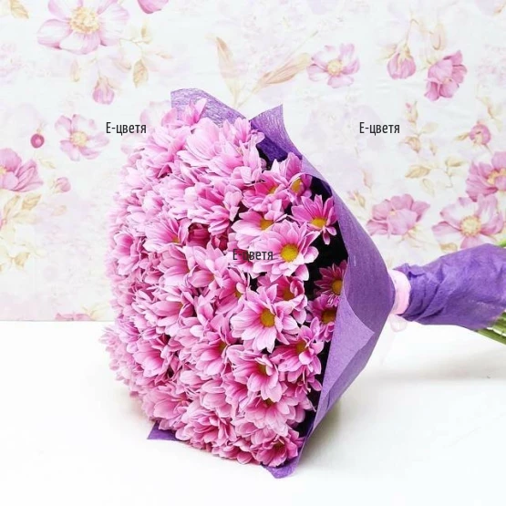Send bouquet of chrysanthemums and wrapping - Sansation