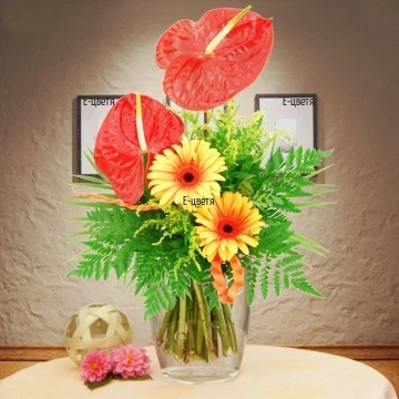 Send bouquet of gerberas and anthuriums - Granada